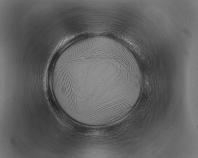 X0000116590678200912291308