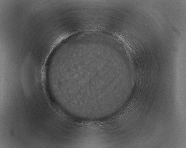 X0000116590679200912291308