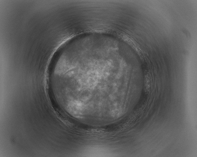 X0000116590680200912291308