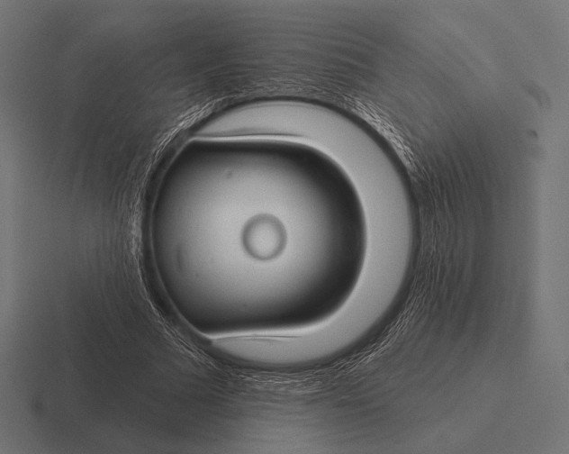 X0000116590681200912291308