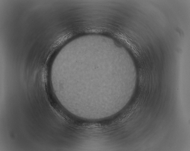 X0000116590683200912291308