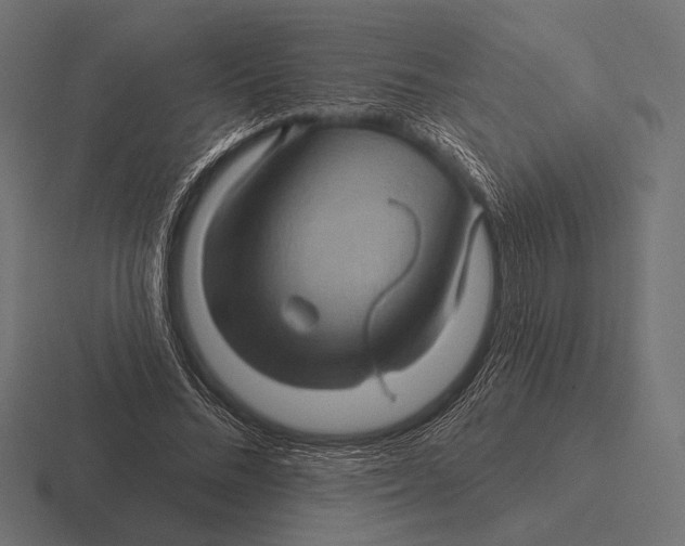 X0000116590684200912291308