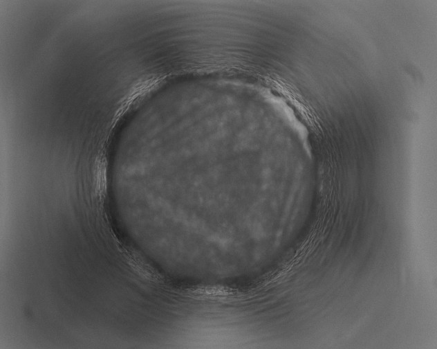 X0000116590685200912291308