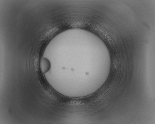 X0000116590690200912291308