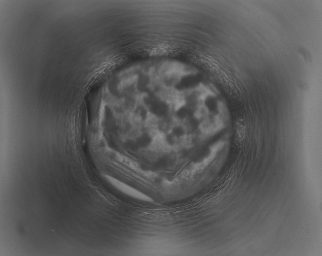 X0000116590691200912291308