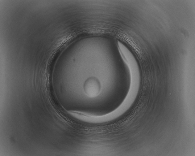 X0000116590692200912291308