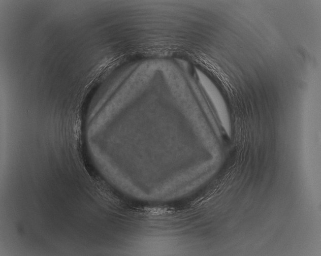 X0000116590693200912291308