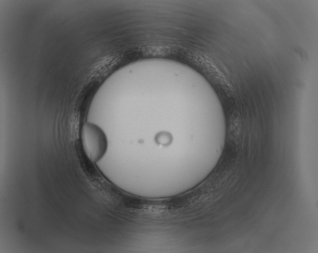 X0000116590694200912291308