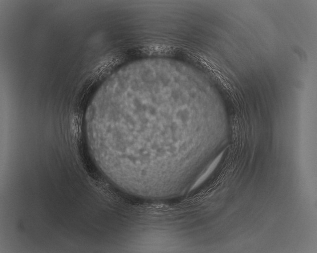 X0000116590695200912291308