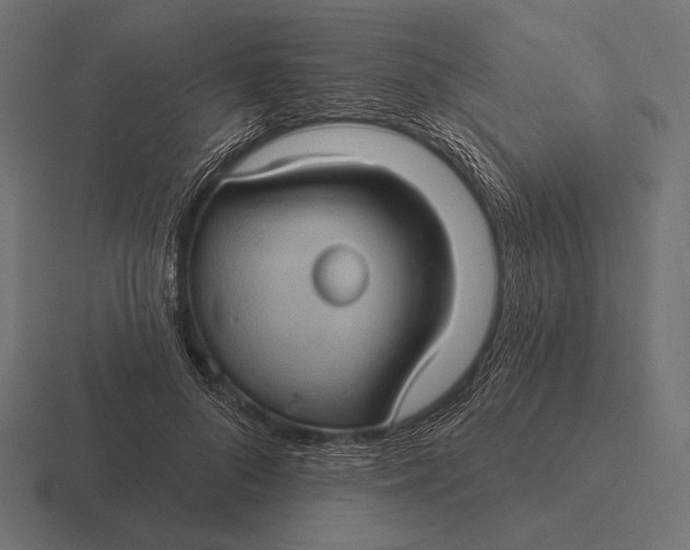 X0000116590696200912291308