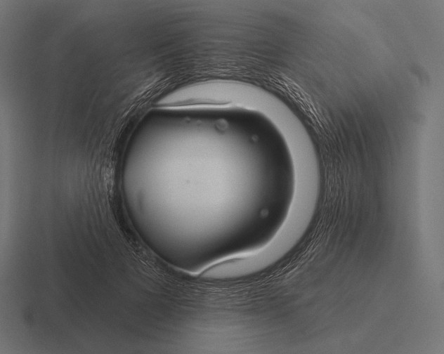 X0000116590697200912291308