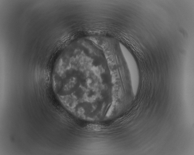 X0000116590699200912291308