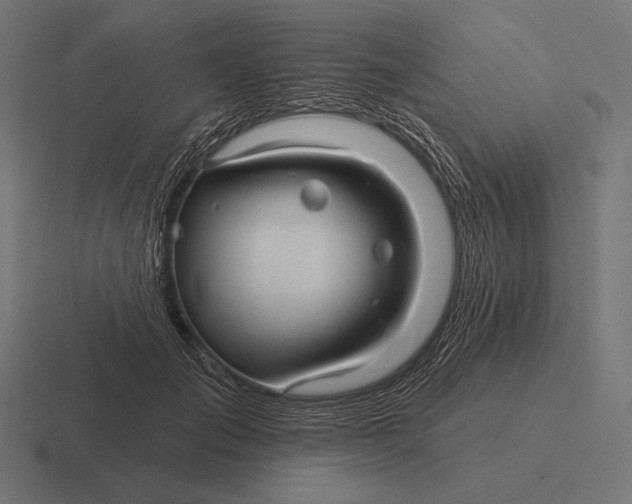 X0000116590701200912291308