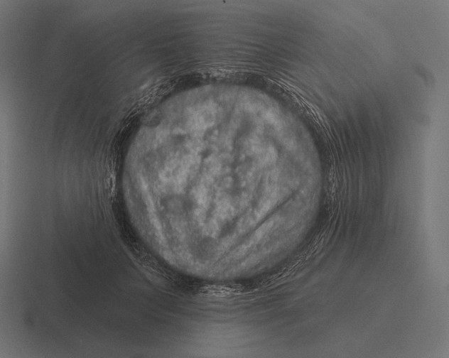 X0000116590703200912291308