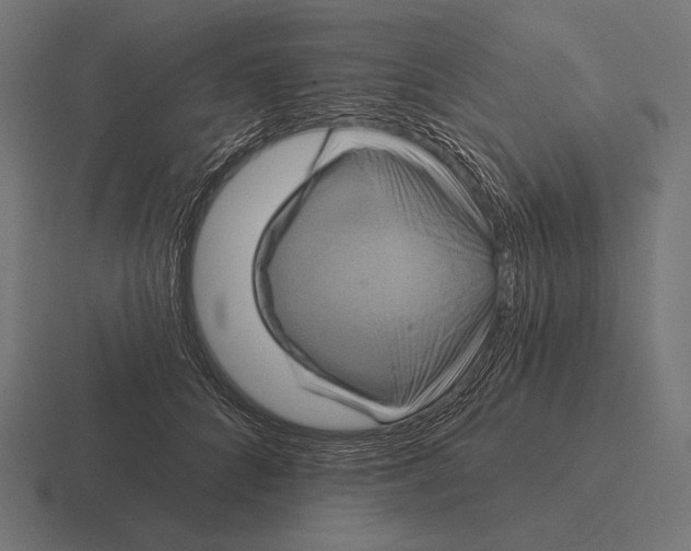 X0000116590704200912291308