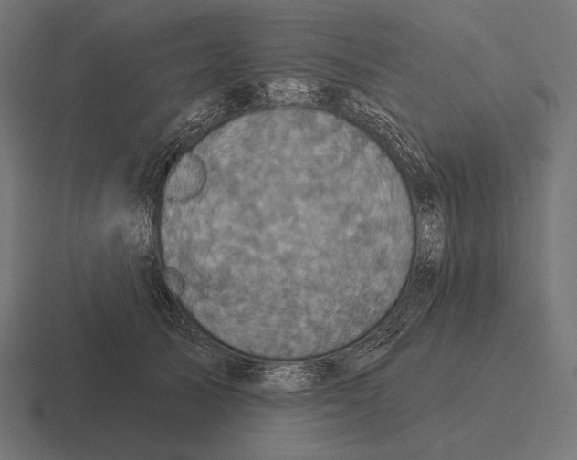 X0000116590705200912291308