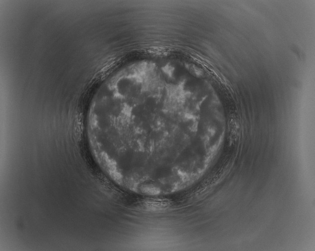 X0000116590707200912291308