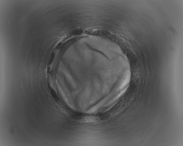 X0000116590708200912291308