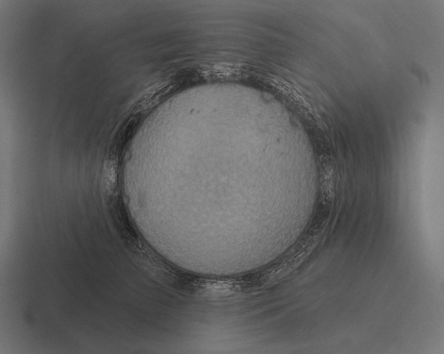 X0000116590709200912291308