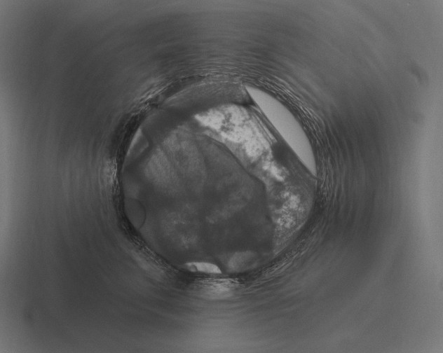 X0000116590711200912291308