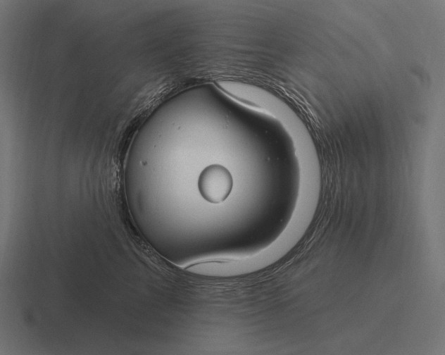 X0000116590713200912291308