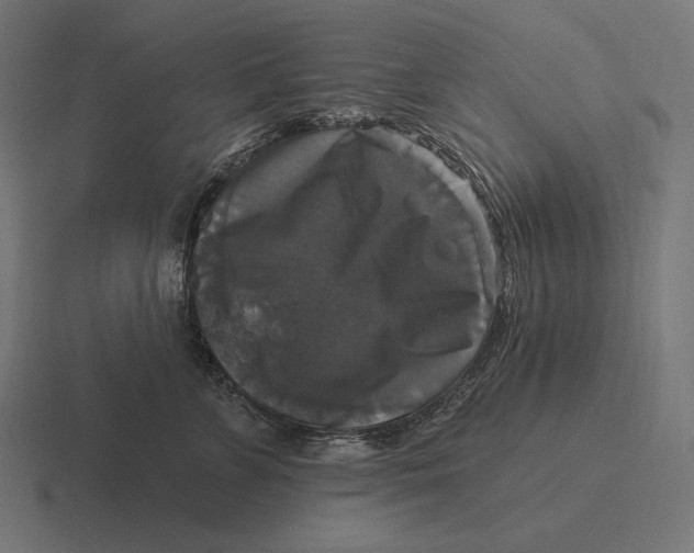 X0000116590715200912291308