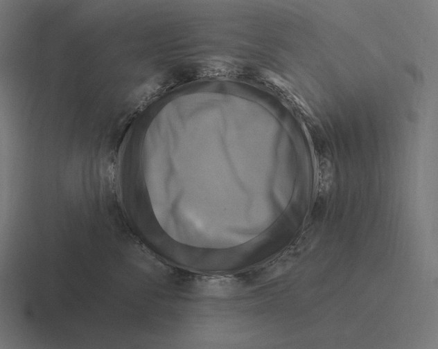 X0000116590716200912291308