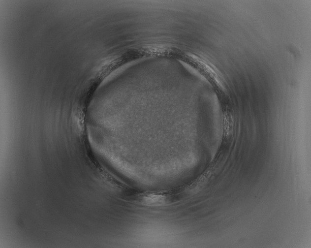 X0000116590718200912291308