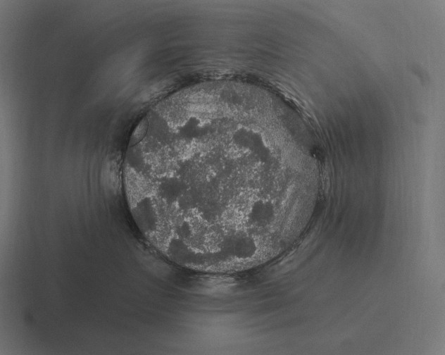 X0000116590719200912291308