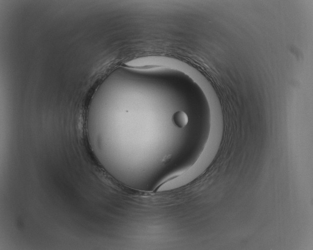 X0000116590720200912291308