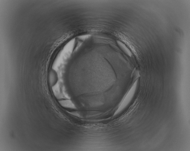 X0000116590721200912291307