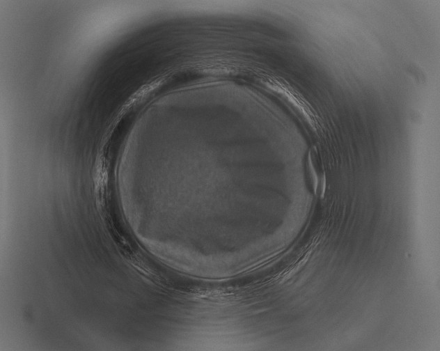 X0000116590723200912291307