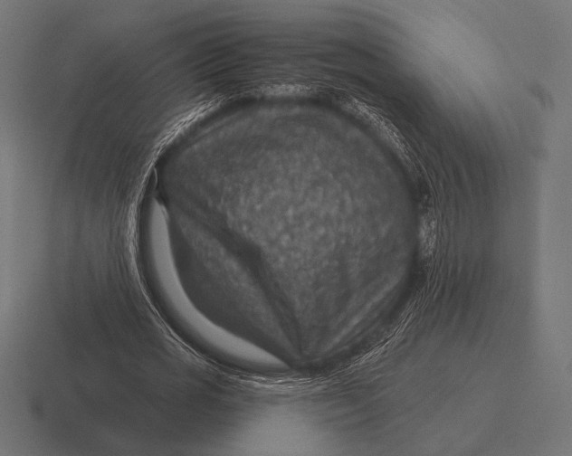 X0000116590725200912291307