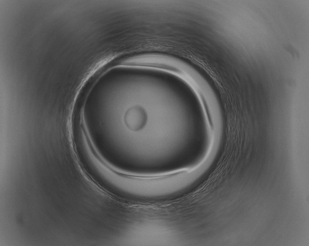 X0000116590726200912291307