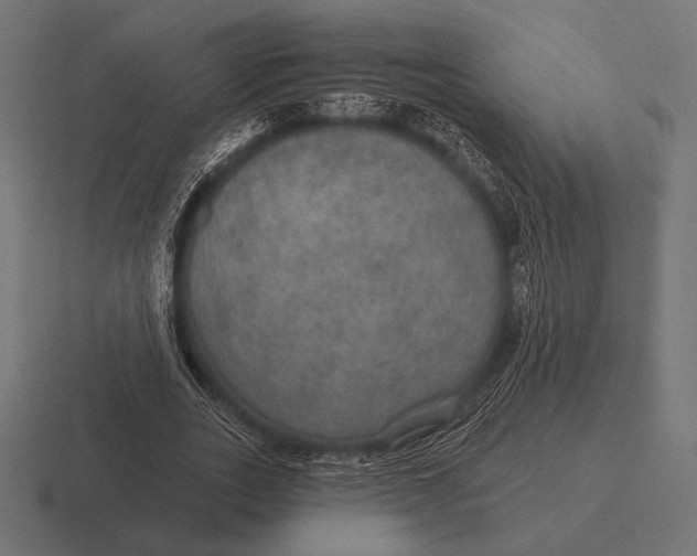 X0000116590727200912291307