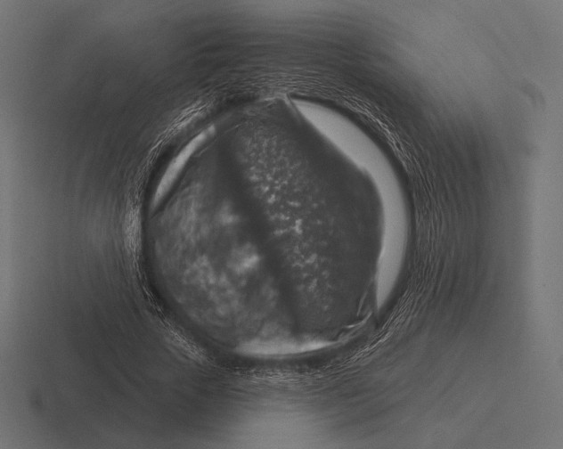 X0000116590729200912291307