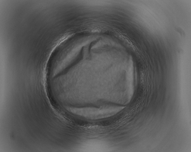 X0000116590730200912291307