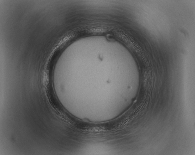 X0000116590731200912291307