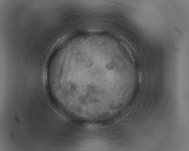 X0000116590733200912291307