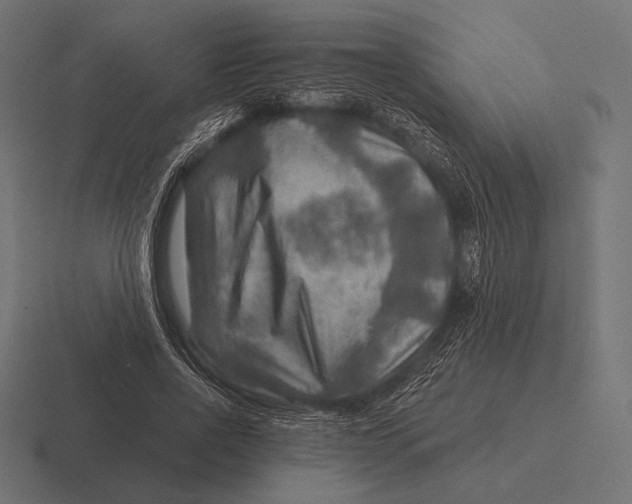 X0000116590734200912291307