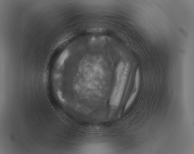 X0000116590735200912291307