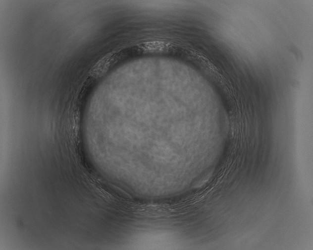 X0000116590737200912291307