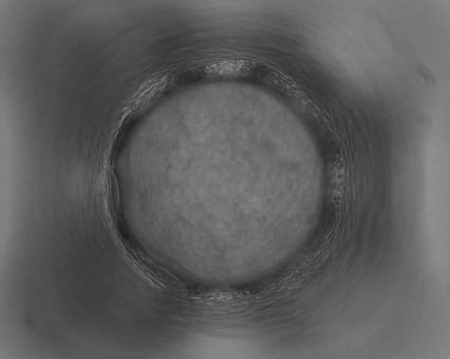 X0000116590738200912291307