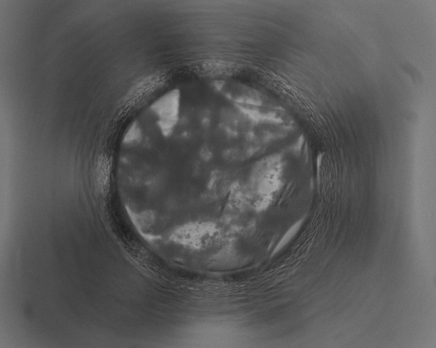 X0000116590742200912291307