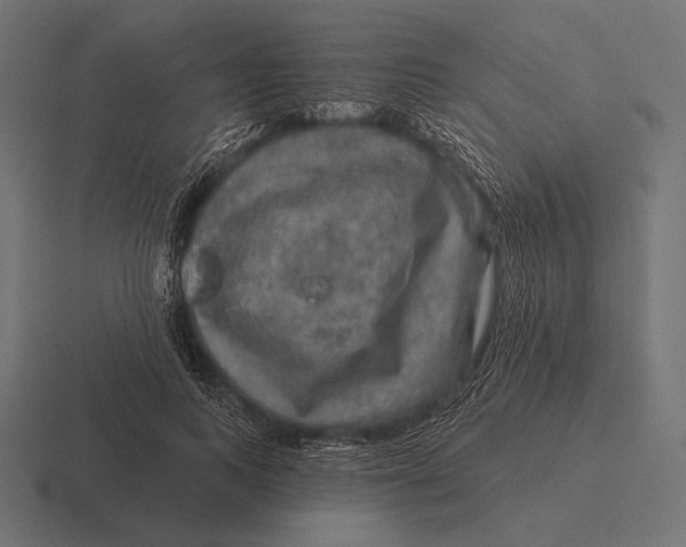 X0000116590743200912291307