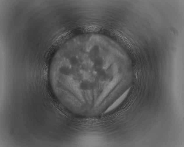 X0000116590745200912291307