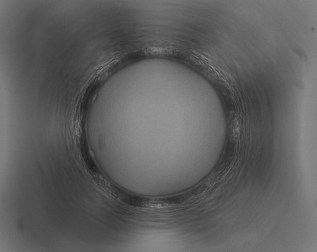 X0000116590746200912291308