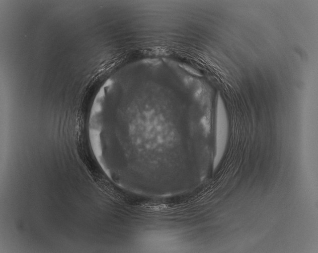 X0000116590747200912291308