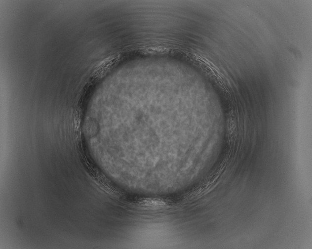 X0000116590749200912291308