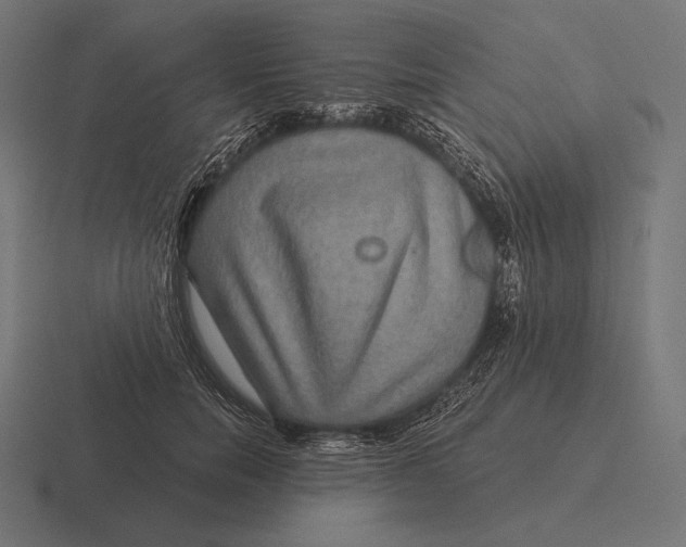 X0000116590750200912291308